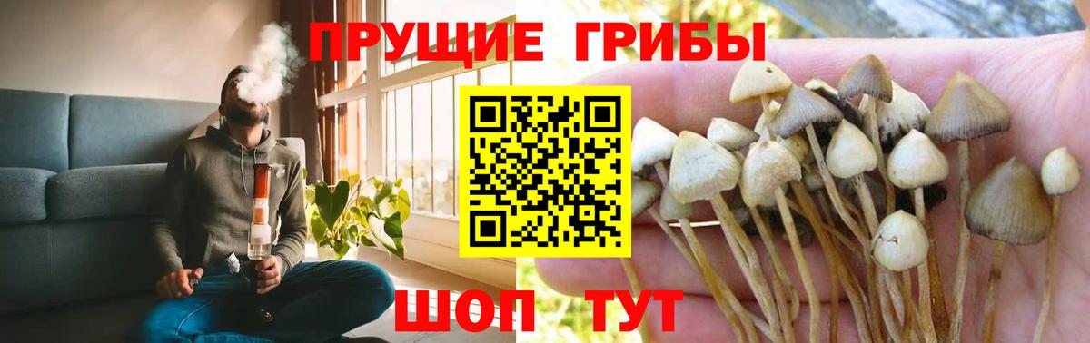 Волгодонск  Псилоцибиновые грибы Magic Shrooms  Вход с VPN 